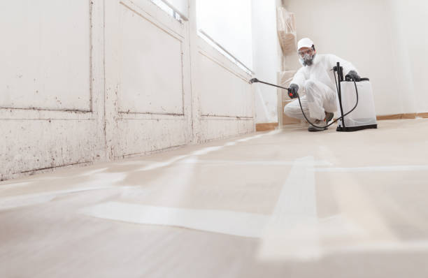 24/7 Emergency Attic Mold Remediation experts in Jessup, MD