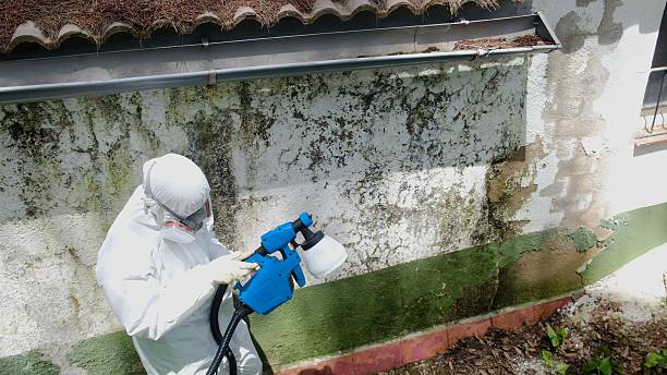 Top rated local Attic Mold Remediation specialists in Jessup, MD